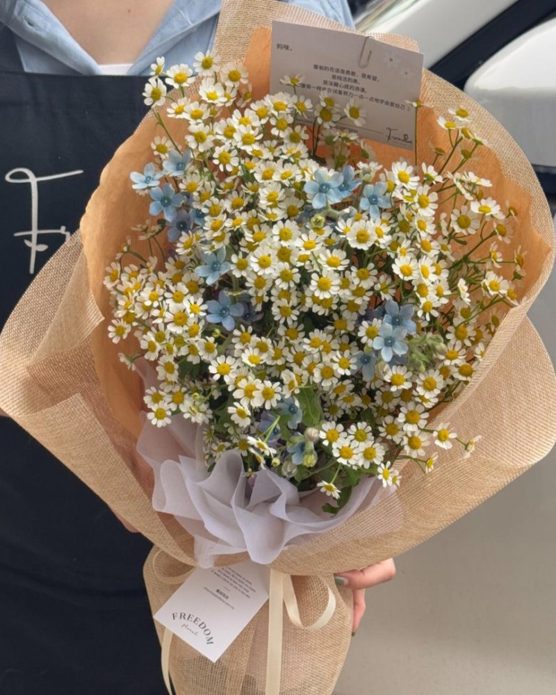 皱间蓝灵daisy（fresh flower）