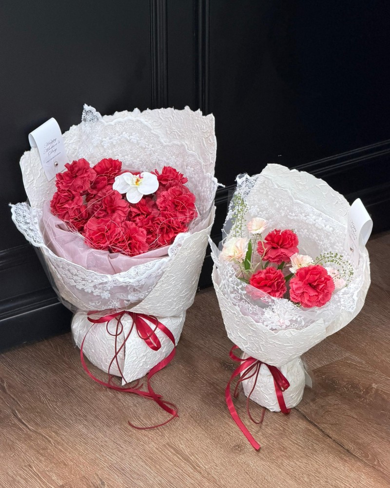 经典康乃馨系列 Classic Carnation